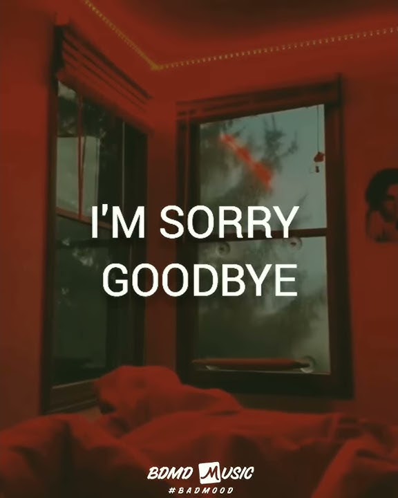 Story WA Lirik Lagu I'm Sorry Goodbye
