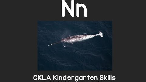 Letter N sound: CKLA Kindergarten Reading Skills Unit 4 Lesson 1