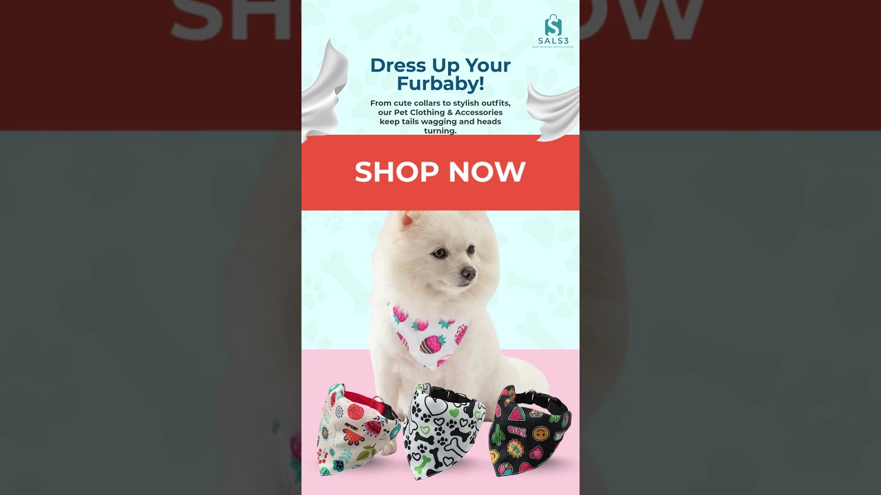 Pet Cat Dog Clothing Accessories