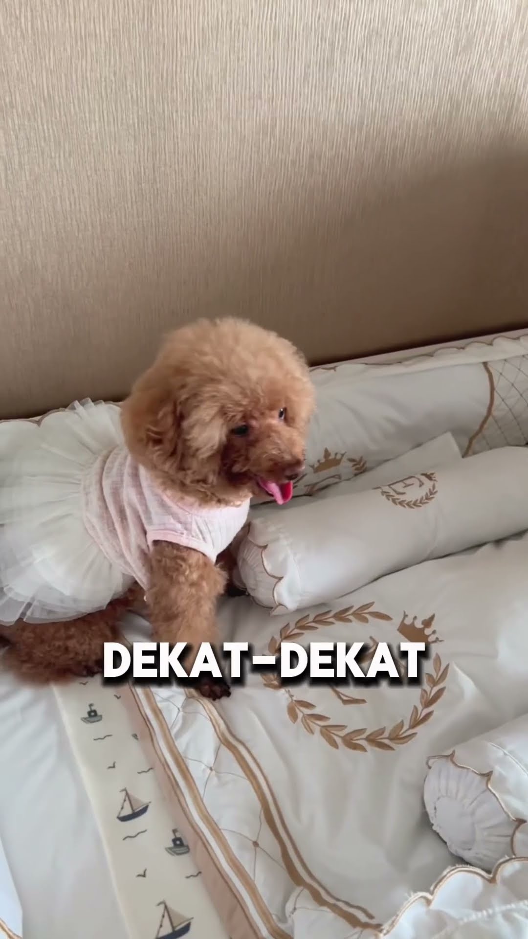 REAKSI LIAT BAYI!!! SHOCK!!
