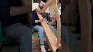 Luke Webb plays the Harfenland Mali 36 #cambrianharps