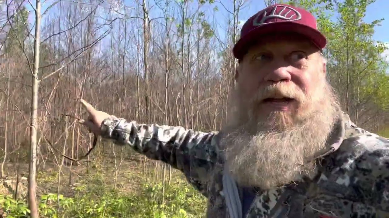 Comparison of unburned vs. burned woody thicket. Prescribed fire for the win!