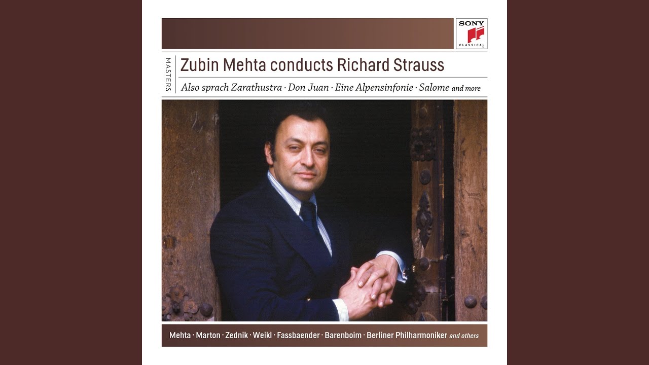 Ein Heldenleben, Op. 40, TrV 190: Der Held