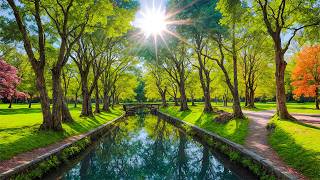 Ultimate Stress Relief - Soothing Music for Relaxation, Meditation and Anxiety Reduction #16