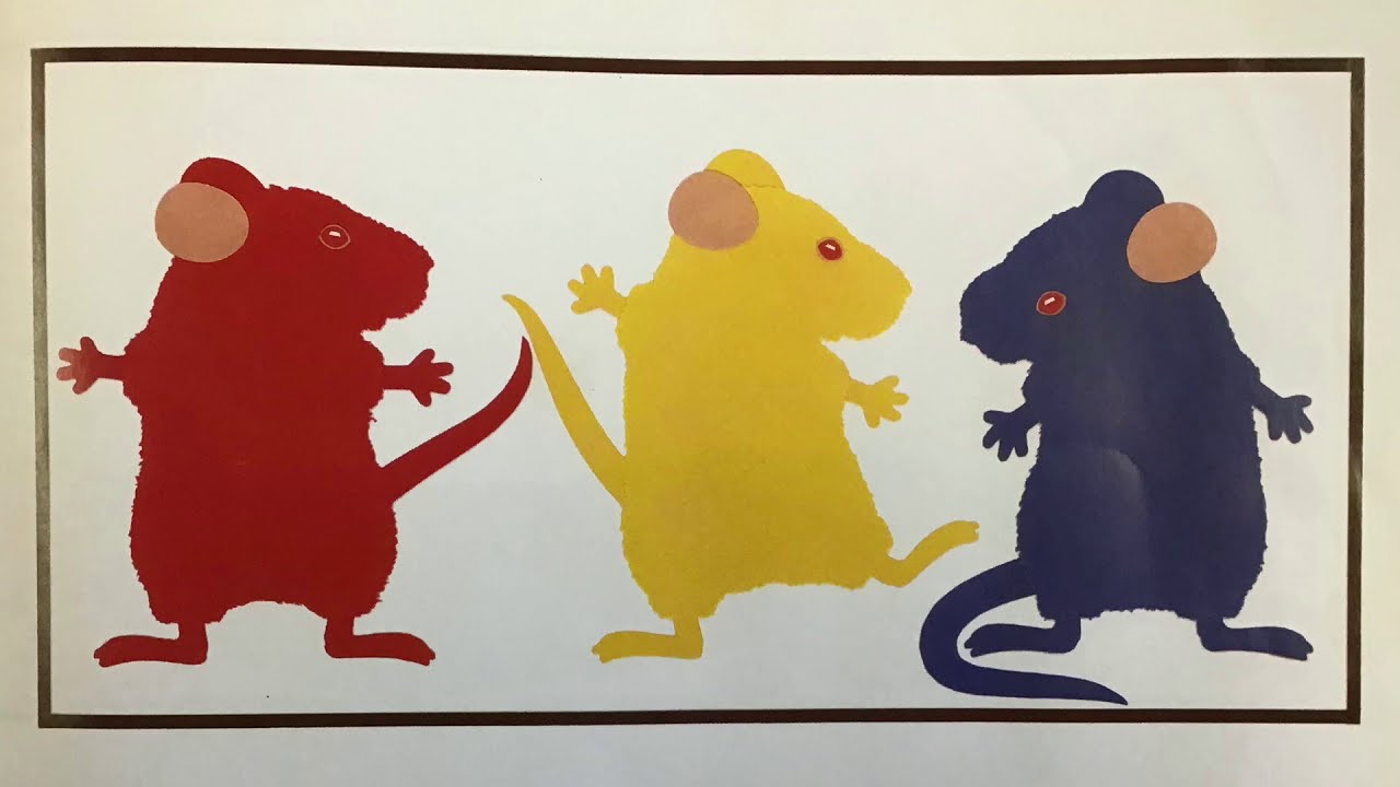 Mouse Paint- Read Aloud - YouTube