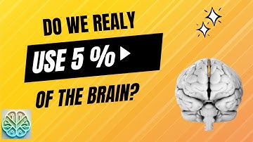 Gebruiken we echt maar 5% van onze hersenen?