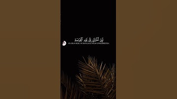 تلاوة خاشعة ❤️🎧 تريح القلب