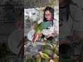 Amazing Sight – Hundreds of Parrots in One Place