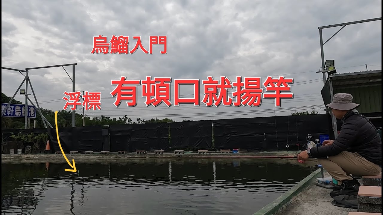 烏鰡入門篇 終於完美拍到浮標的動作了 感謝 歡樂軒9/1烏鰡池協助拍攝