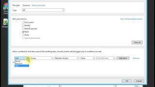 Celebrity Auditing Folder/File Access Net Worth
