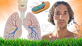 The Healthiest Way to Breathe (To Save Your Mitochondria)