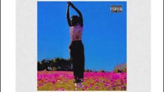 Dion. Dior - Roses R Blue