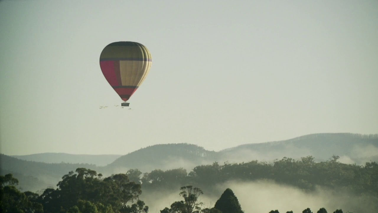 Puffing Billy Yarra Valley Tour