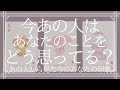今あの人はあなたのことをどう思ってる？【恋愛・タロット・オラクル・占い】