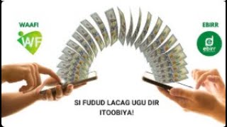 Waafi App & Lacagta E-Birr Lacagta Ethiopia