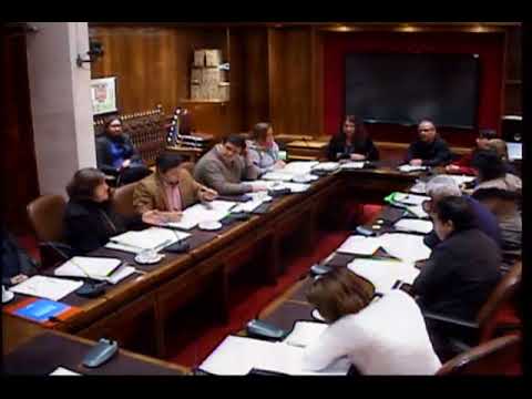 Sesión Extraordinaria Nº 5, del 29 de Agosto de 2018 consejos sabios