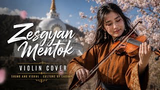 Zesgyan Mentok (Delwa) | Emotional Instrumental Violin Cover | Old Ladakhi Song 🔖