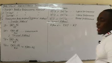AFM { PORTFOLIO PERFOMANCE MEASURE