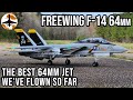 Rc jet perfection  freewing f14a tomcat twin 64mm