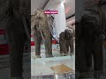 delhi airport #ytshorts #youtube #youtubeshorts #travel #short #delhi