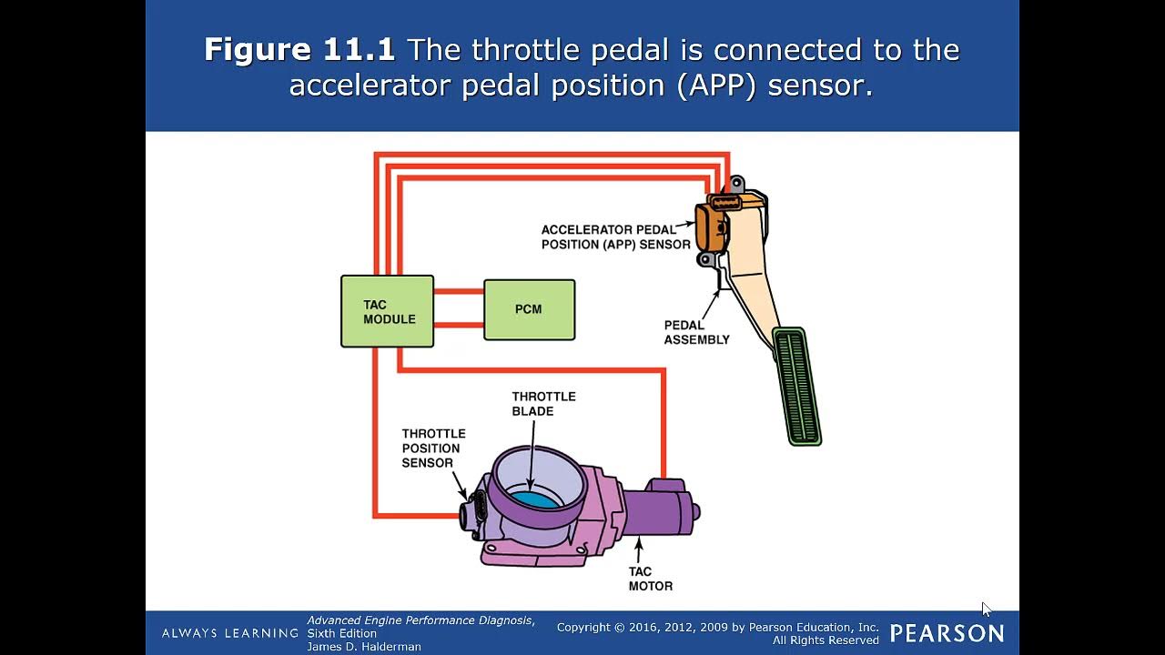 Accelerator перевод. Throttle position. Accelerator position sensor. Accelerator Pedal position sensor Ford Transit схема. Inside Throttle position sensor.