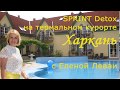 Sprint Detox на термальном курорте в Венгрии с Еленой Леваи