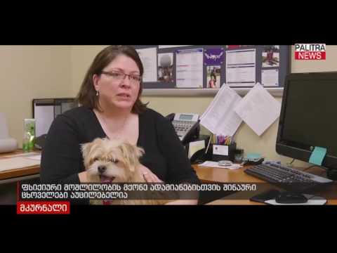 ფსიქიკური აშლილობის მქონე ადამიანებისთვის შინაური ცხოველები აუცილებელია