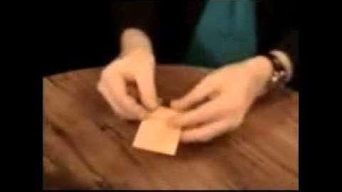 Black Box Cinema by Bob Cassidy - DVD