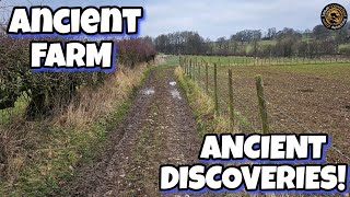 Incredible haul of ancient coins & artefactsMetal detecting UK