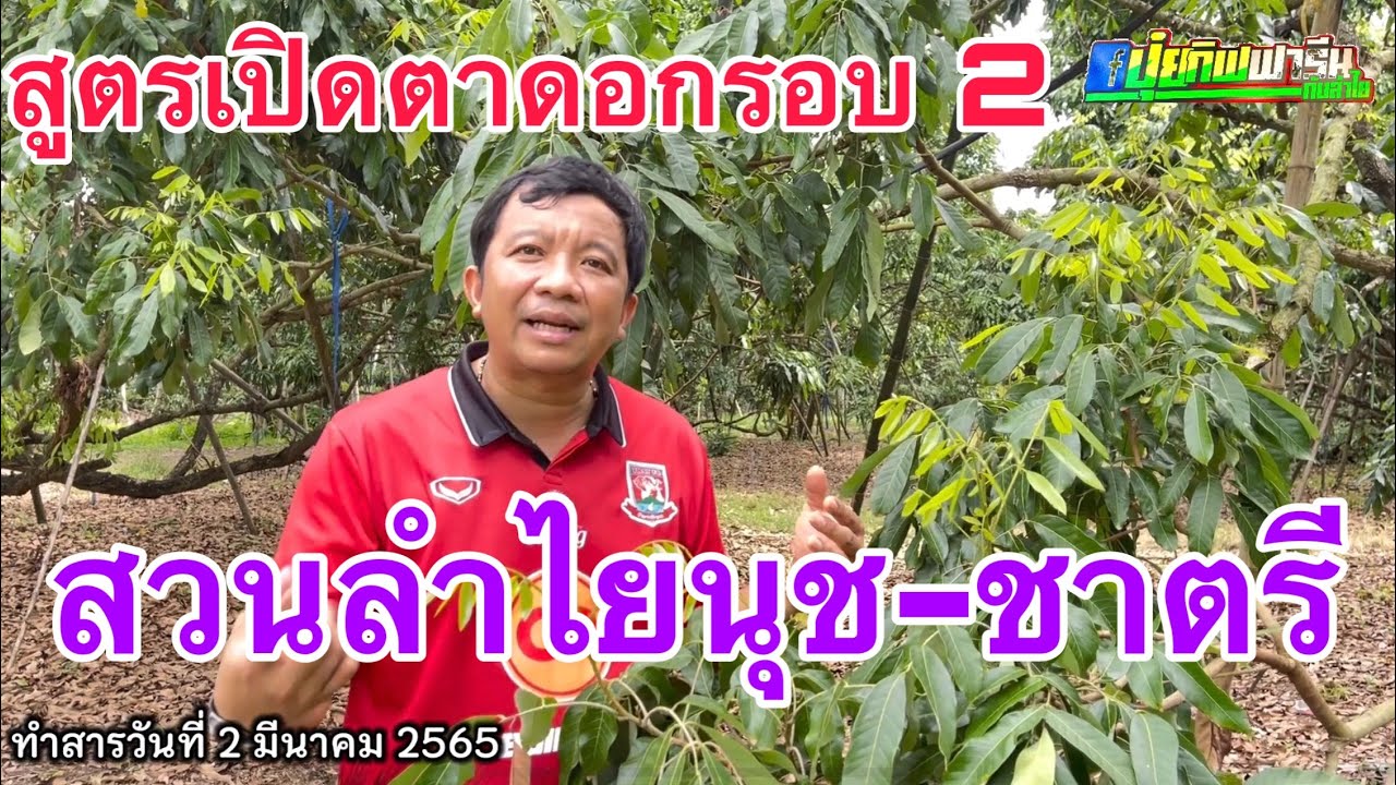 สวนลำไยนุช-ชาตรี Ep.2 สูตรเปิดตาดอก ครั้งที่ 2