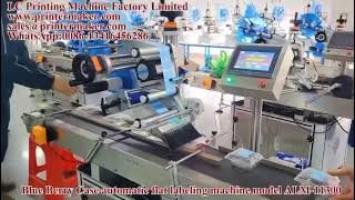 Blue Berry Case automatic flat labeling machine model ALM-11300