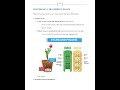 Grade 10 General Science Strand 2 Living Things and Environment Notes