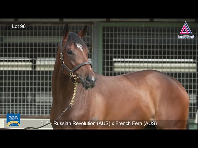 Lot 96-Russian Revolution x French Fern 19' Filly-2021 GoldCoast 2YOs In Training Sale MagicMillions