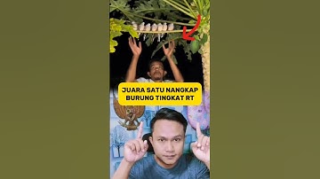 TANGKAP BURUNG tanpa alat #shorts