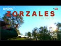 Caza del zorzal con paralela, Documental auténtico de cacería del zorzal con escopeta paralela.