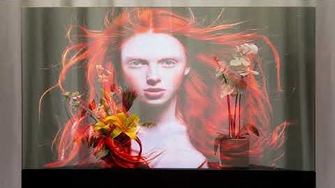Planar LookThru OLED Transparent Display with still imagery