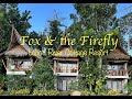 Fox  the firefly cottage most underrated loboc river resort with an ethnic touch bohol  