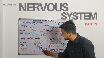 Introduction to Nervous System 🧠 | From Basics| Part 1