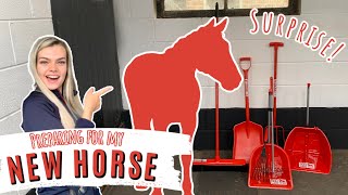 Preparing For My NEW HORSE | Lilpetchannel