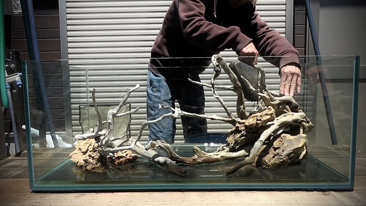 Setting up a 90cm aquarium tank with the world's most powerful