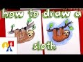 How To Draw A Cartoon Sloth