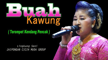 JAIPONGAN BUAH KAWUNG - KENDANG PENCAK