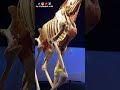 Esta exhibición es una cosa increíble 🦒🦒  #leongto #guanajuato #vlogs #viajes #bodyworlds