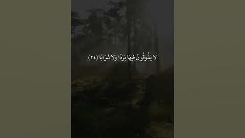 القارئ سالم الرويلي - مقاطع قرآن قصيرة وحالات واتس إسلامية 🌱