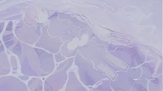 ラヴアンド/猫背 feat.鏡音リン
