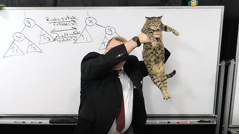 W2022 CS 210 Lecture 20 (AVL Trees (Part 2))