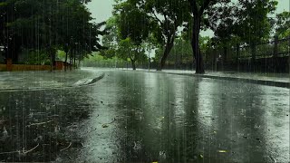 Deep Sleep On Rainy Day | Pouring Rain & Huge Thunder Sounds On Quiet Road | Nature Sounds For Sleep