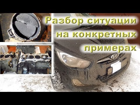 Корейская ДРИСТНЯ КАТАЛИЗАТОРОМ - ВСЕ факты на 2019 год!!