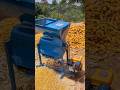 “This Machine Peels Corn in Seconds 🌽🔥”