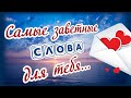 Самые заветные слова... я тебе сейчас хочу сказать!